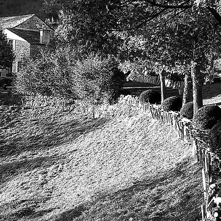Bed and Breakfast Bérard à Saint-Julien-d'Intres Extérieur photo