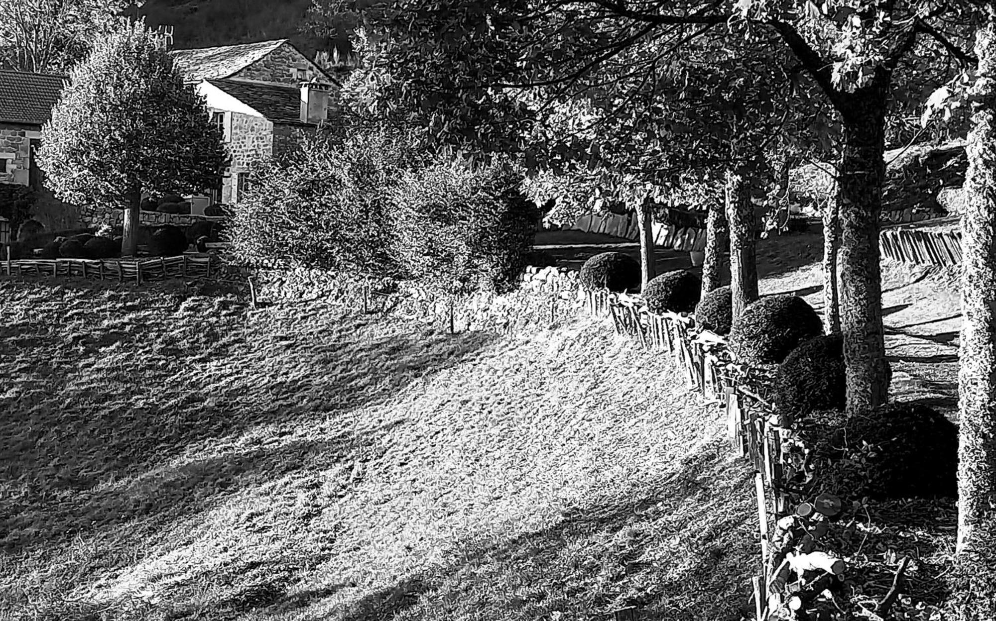 Bed and Breakfast Bérard à Saint-Julien-d'Intres Extérieur photo